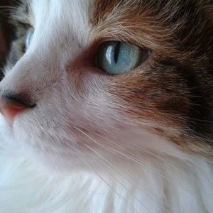 Meet your Posher, Judy